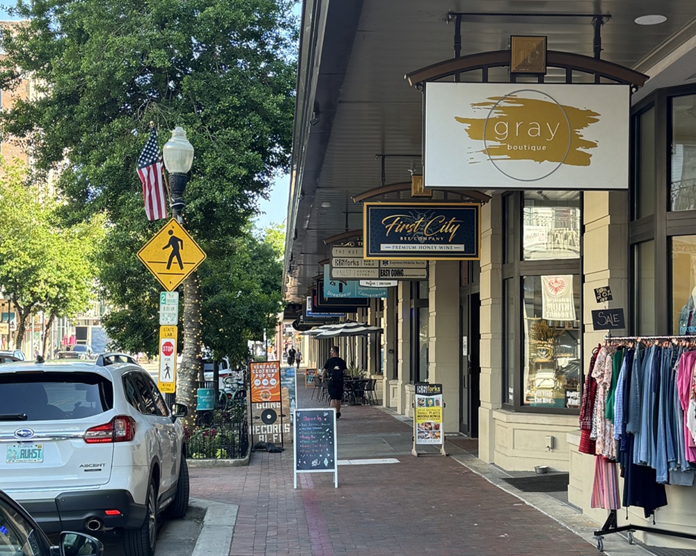 closeup of seashells hanging on a plant